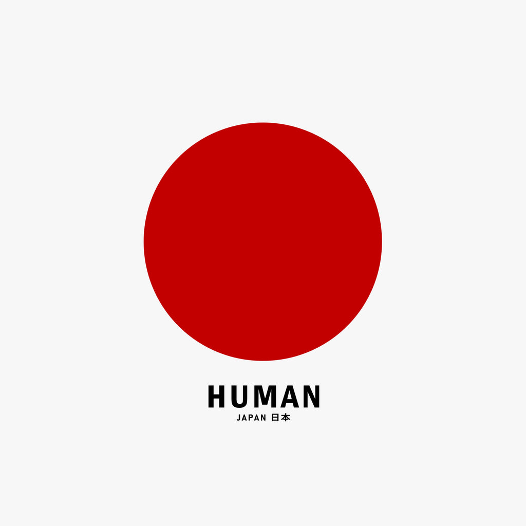 Human Experience