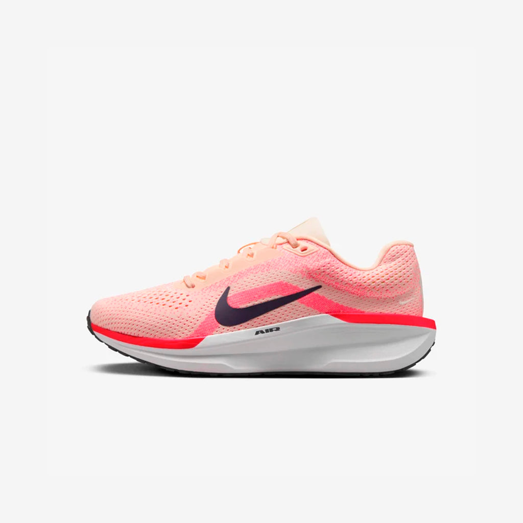 Nike Air Winflo 11