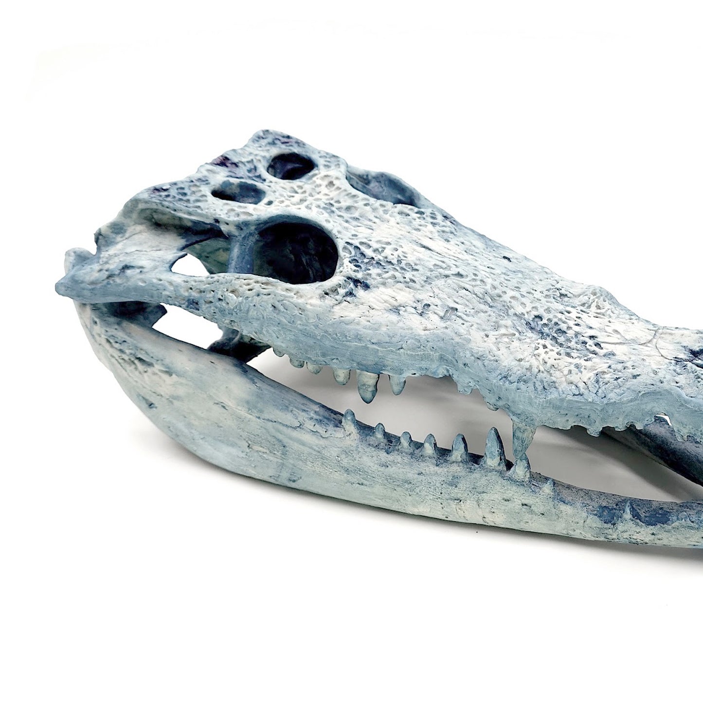 Cráneo Decorativo Crocodrile