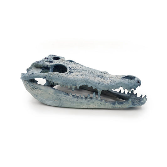 Cráneo Decorativo Crocodrile