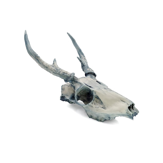 Cráneo Decorativo Stag
